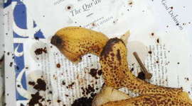 Timeline: The Great Desecration