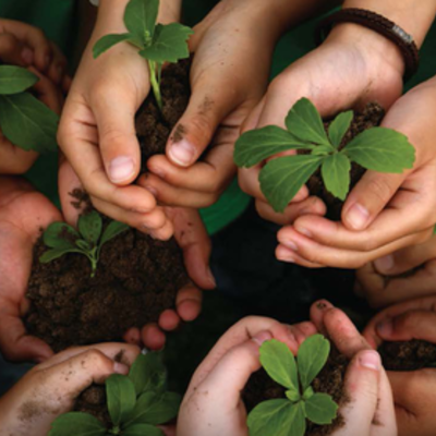 Timeline: Linha do tempo nas relações do meio ambiente-ms22