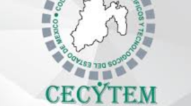 Timeline: Mama de Naty