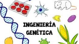 Timeline: Historia De Genetica By:Cristian Gonzalez 902