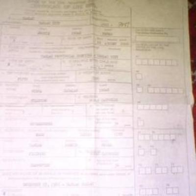 Timeline: Adonis perez