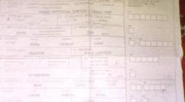 Timeline: Adonis perez