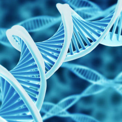 Timeline: Historia de la Biología molecular