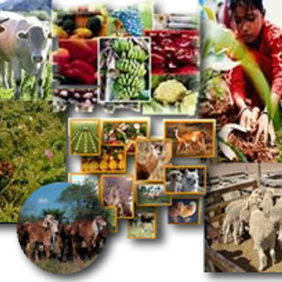 Timeline: MODO DE PRODUCCION