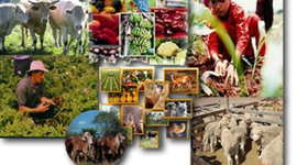 Timeline: Modo de produccion