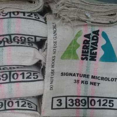 Timeline: Cronograma