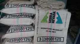 Timeline: Cronograma