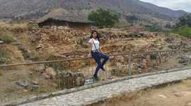 Timeline: historia de luz celis estela