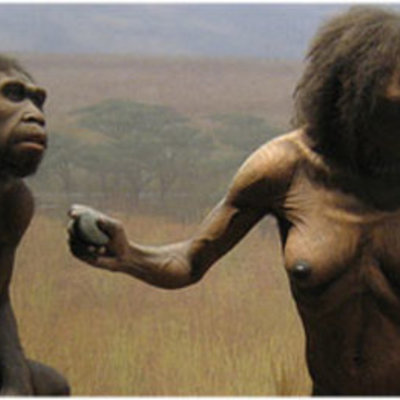 Timeline: Hominización y Evolución