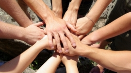 Timeline: Οι Οργανώσεις Προστασίας