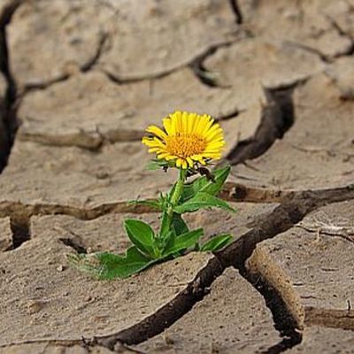 Timeline: Concepto de desarrollo sustentable