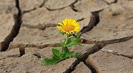 Timeline: Concepto de desarrollo sustentable