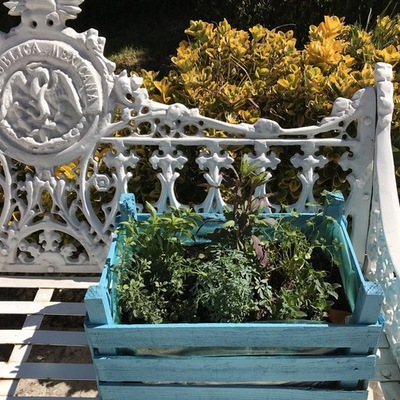 Timeline: Parte Profesional