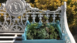 Timeline: Parte Profesional