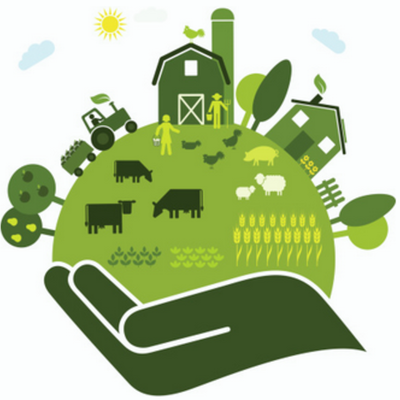 Timeline: Desarrollo sustentable, origen y términos