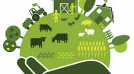 Timeline: Desarrollo sustentable, origen y términos