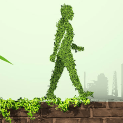 Timeline: Origen y evolución del  Concepto Desarrollo Sustentable