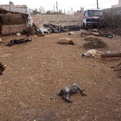 Timeline: Chemical Weapons Attack On Syrian Civilians