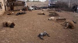 Timeline: Chemical Weapons Attack On Syrian Civilians