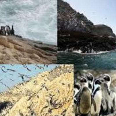 Timeline: Línea de tiempo: Hechos históricos en Islas Ballestas y Sistema de Islas, Islotes y Puntas Guaneras