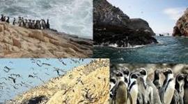 Timeline: Línea de tiempo: Hechos históricos en Islas Ballestas y Sistema de Islas, Islotes y Puntas Guaneras