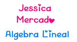 Timeline: Historia del Álgebra Lineal