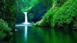 Timeline:   Horizonte del tiempo toma de decisiones