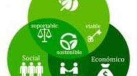 Timeline: Desarrollo sustentable, origen y términos