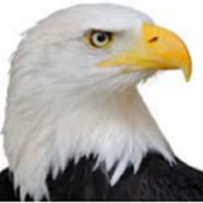 Timeline: Emerson Ed Tech Implementation Timeline: PBL and Google