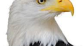 Timeline: Emerson Ed Tech Implementation Timeline: PBL and Google