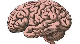 Timeline: Act_1.3_Garduño_ Pérez_Línea del Tiempo: El Pensamiento de lo Humano