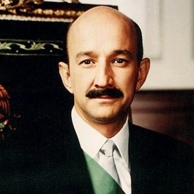 Timeline: El Gobierno de Salinas de Gortari