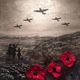 58a0cf27959a885857f2ebaa9dfbd4c7  remembrance day pictures remembrance day art