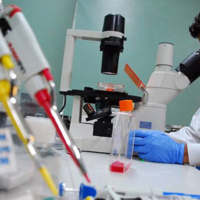 Timeline: Evolución del Concepto de RED