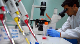 Timeline: Evolución del Concepto de RED