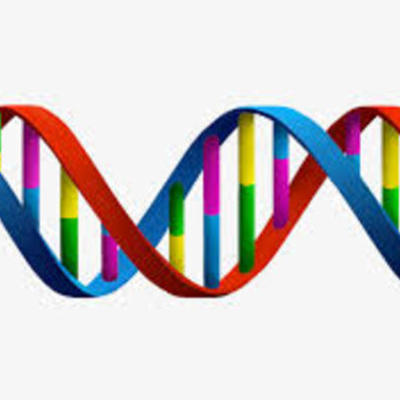 Timeline: HISTORIA DEL DESCUBRIMIENTO DEL ADN