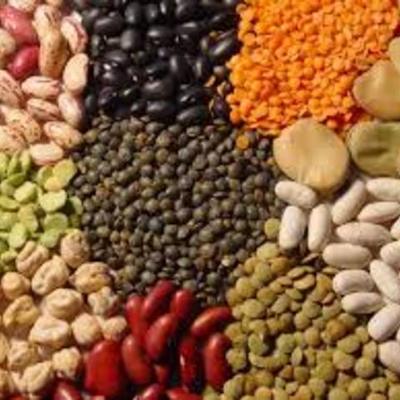 Timeline: EVOLUCIÓN DE LA HUMANIDAD Y EL GRANO