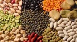 Timeline: EVOLUCIÓN DE LA HUMANIDAD Y EL GRANO