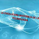 Evolucion historica