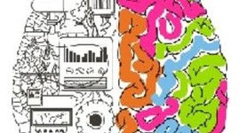 Timeline: Historia y sistemas de la Psicología