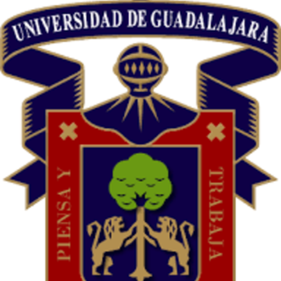 Timeline: RESPONSABILIDADES DEL ASESOR