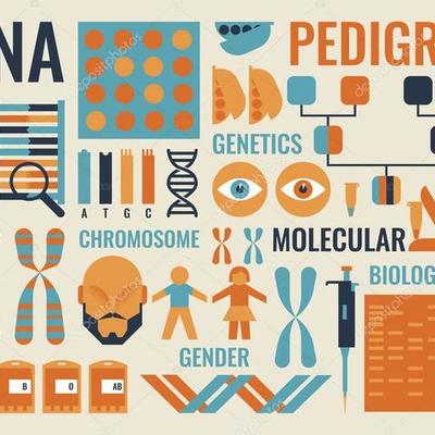Timeline: Historia de la biología molecular