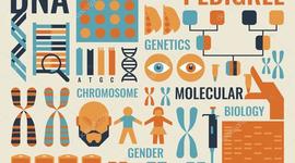 Timeline: Historia de la biología molecular