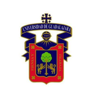 Timeline: ACTIVIDADES Y RESPONSABILIDADES DEL ASESOR BGAI