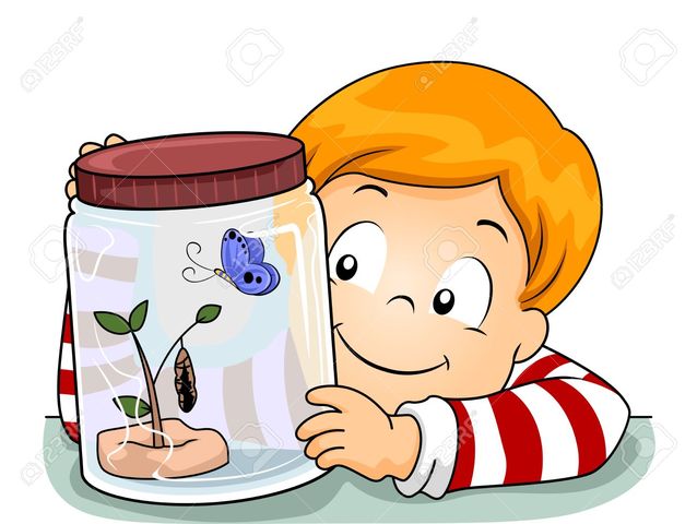 OPERACIONES MENTALES timeline | Timetoast timelines