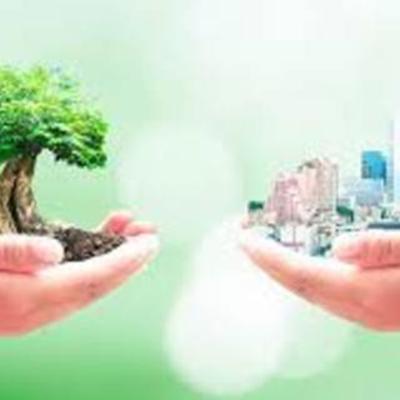 Timeline: DESARROLLO SUSTENTABLE