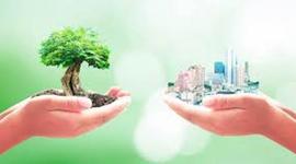 Timeline: DESARROLLO SUSTENTABLE