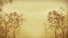 Timeline: Eventos transcendentales para el desarrollo sustentable