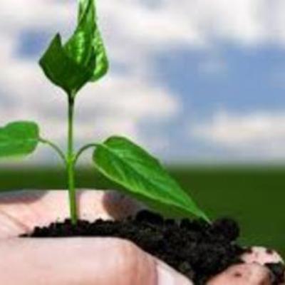 Timeline: Desarrollo Sustentable