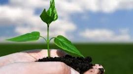 Timeline: Desarrollo Sustentable